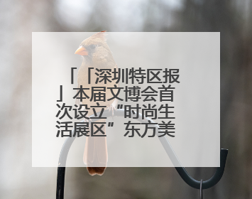 「深圳特区报」本届文博会首次设立“时尚生活展区”东方美学相伴 时尚生活呈现